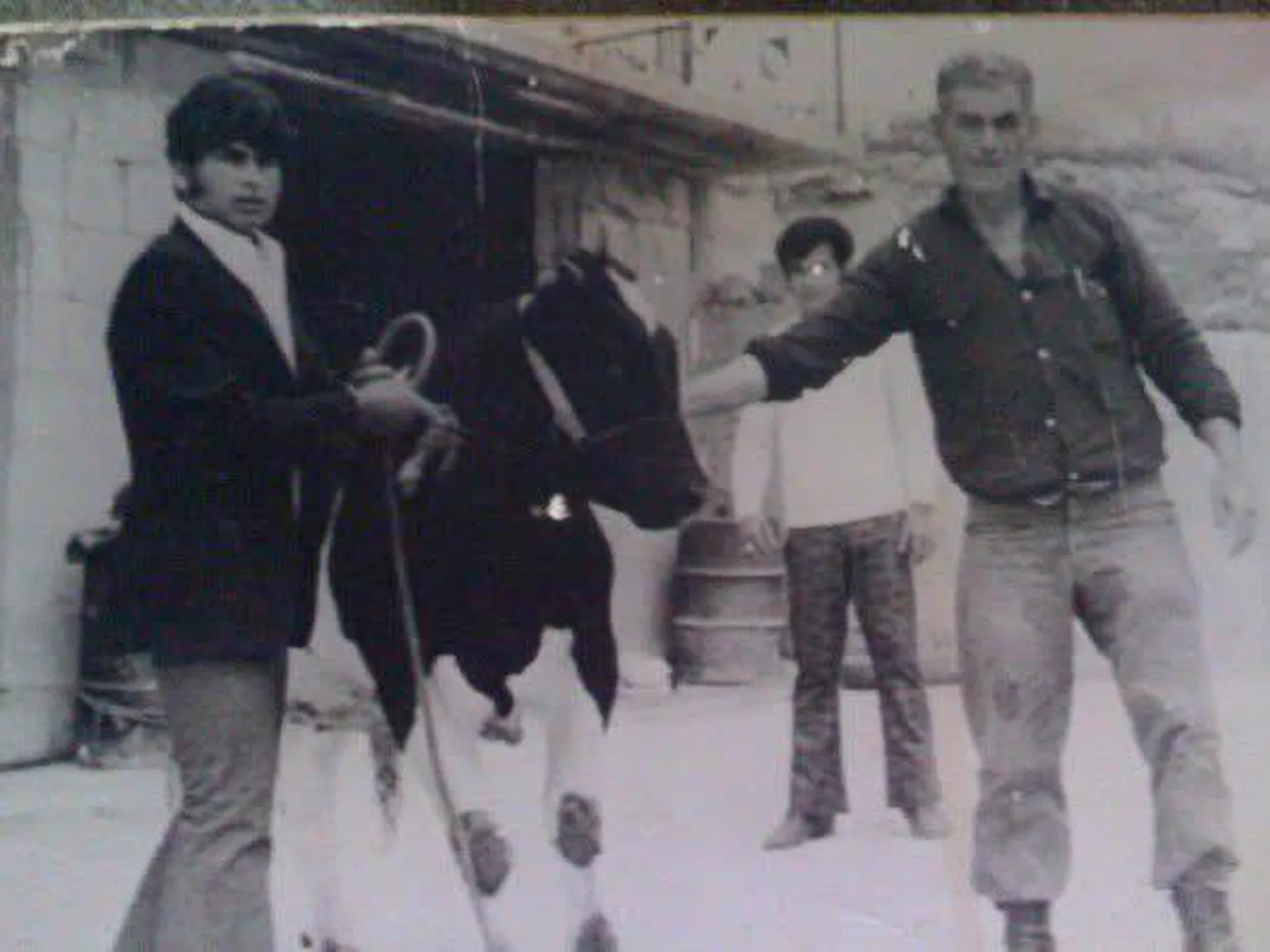 The family in their farmyard with a young calf